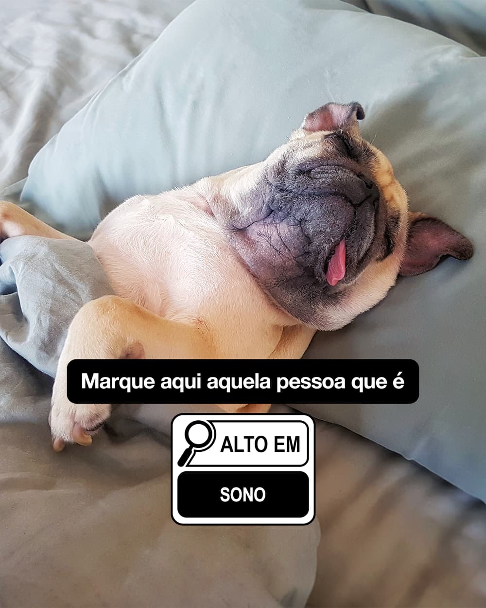 High in (Alto em) — creative 8