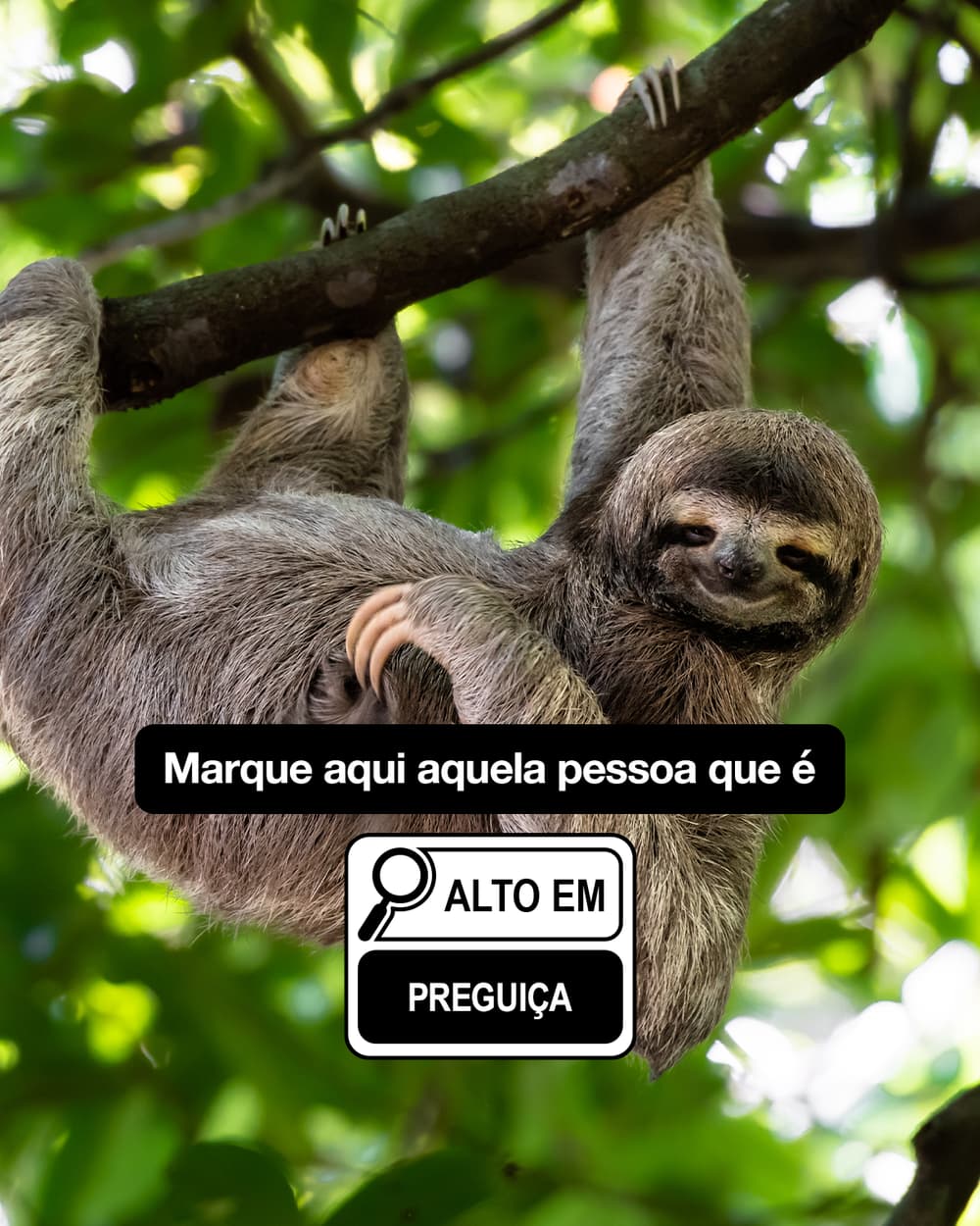 High in (Alto em) — creative 9