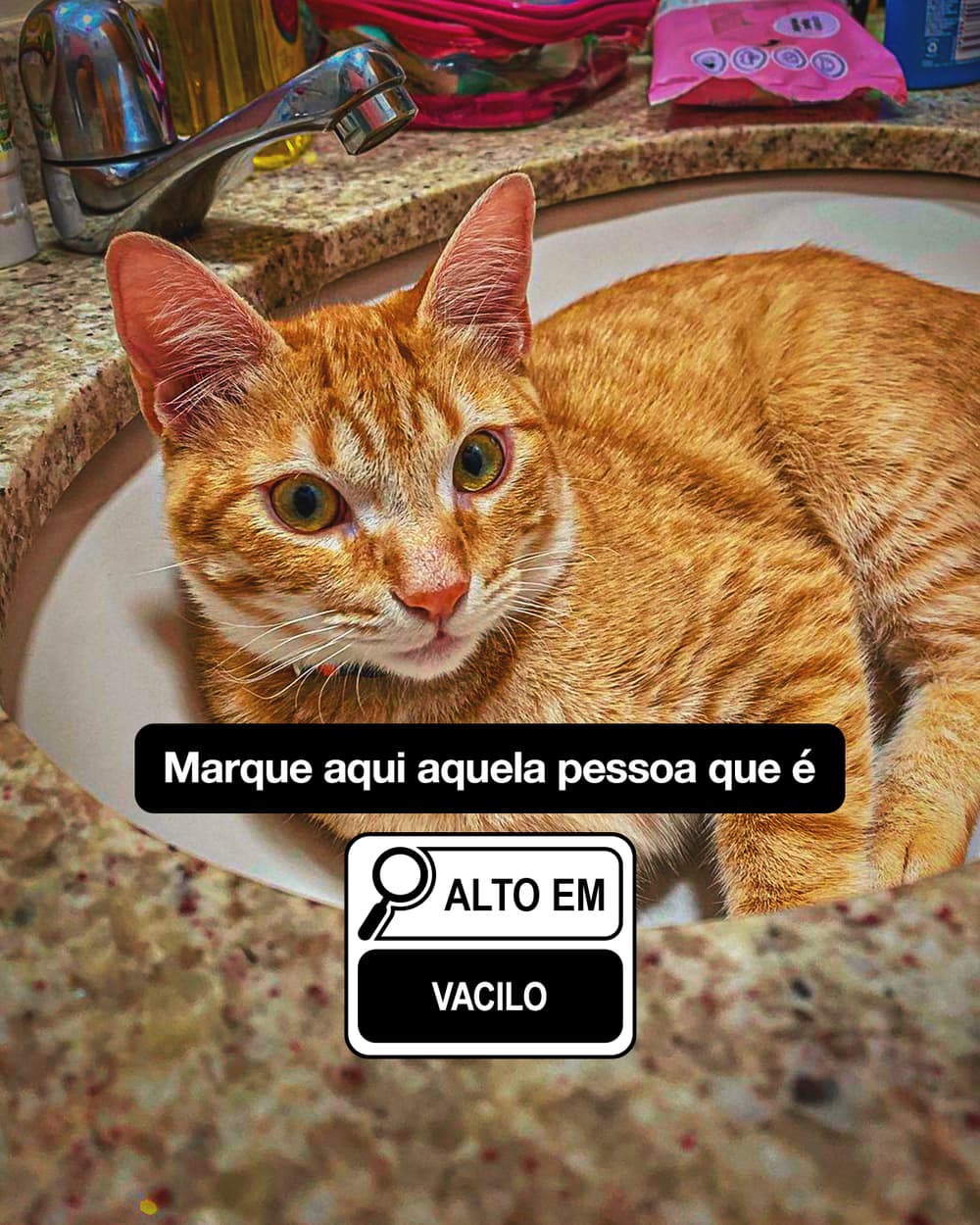 High in (Alto em) — creative 3